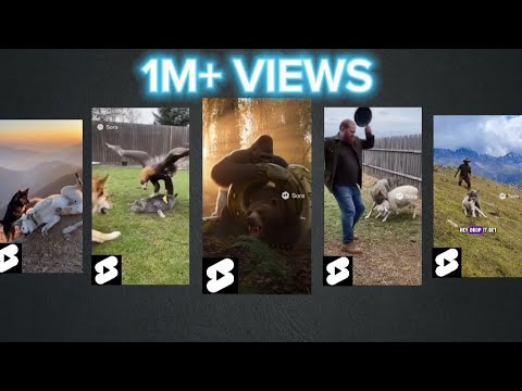 AI Wild Life😱🦁🐺🐻 You Won’t Believe These Heroes!