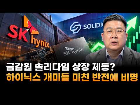 금감원, <strong>솔리다임</strong> 상장 제동?…SK하이닉스 개미들 미친 반전에 '비명' (차영주 와이즈경제연구소 소장)