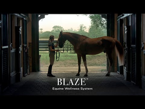 Garmin | Blaze Système de bien-être équin | Système de suivi de santé et du bien-être des chevaux
