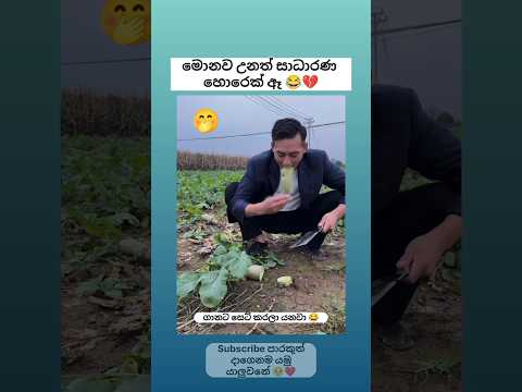 සාධාරණ හොරෙක් 😂💔 Sinhala funny meme 😂 #shorts #funny #comedy #trending #viralvideo #sinhala #jokes