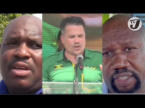 Political Excitement in North Eastern St. Ann: 3 Candidates Nominated | TVJ News