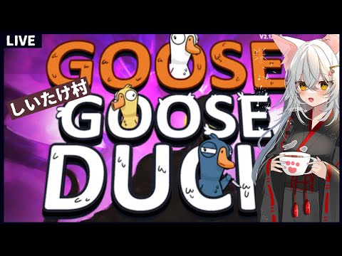 thumbnail_Mnb2P2LY7LY