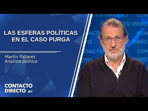 Entrevista con Martín Pallares - Analista político | Contacto Directo | Ecuavisa