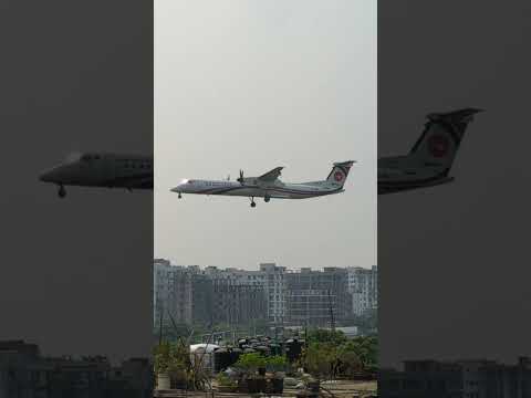 বিমানের চাকায় ঢুকে যায় পাখি