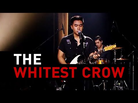 Give Up On Love - The Whitest Crow : Big Boom Box