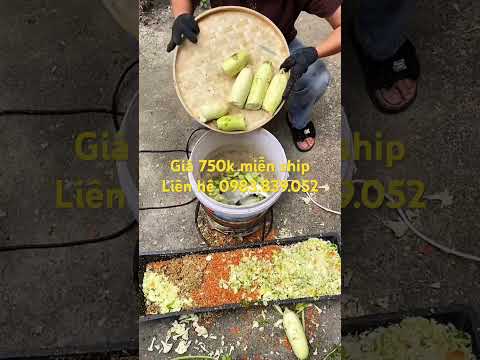 Máy xay thức ăn chăn nuôi cho gia súc #maytronthucanchannuoi #channuoi #farming #maynghiencam