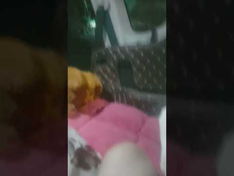 this is video 1 second song