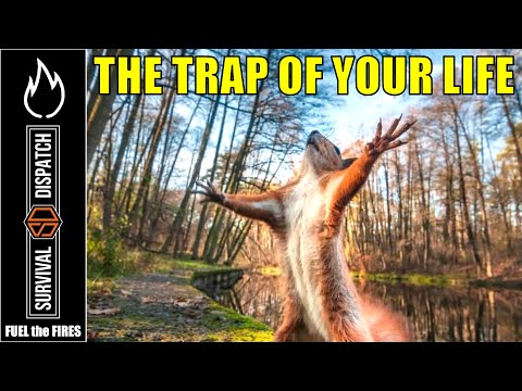 FEED YOUR FAMILY IN THE SHTF