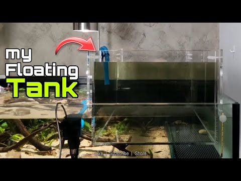 Adding a floating acrylic aquarium to my Stream Ta Figure out a way to overcome my multiple tank syndrome. Using this method I don't need to find a new