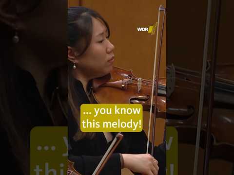 Restless with Wolferl #mozart #classicalmusic
