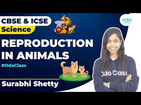 Reproduction in Animals | Science | Class 6-7 | Surabhi Ma'am