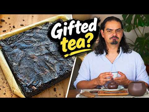 Mystery Liu Bao Tea: Hidden Gem or Dusty Leftover?