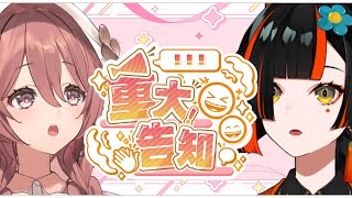 【重大告知】蝶結びからみんなにお知らせがあります！【 ぶいすぽっ！もか、はなび 】