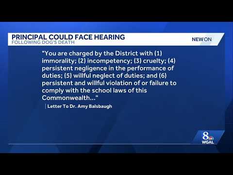 Lancaster County principal could face dismissal after facility dog’s death