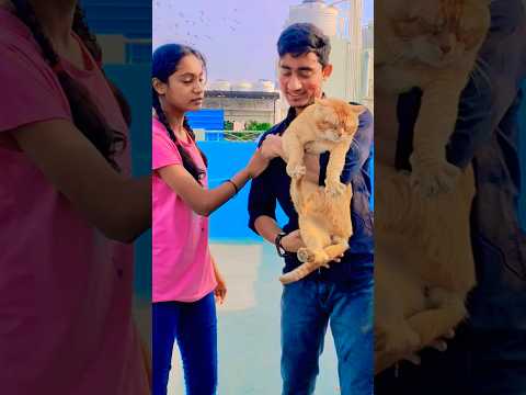 Anaya caught the thief 😄 #shortviral #popularshorts #shortfeed #popularshorts #virslshorts #ytshorts