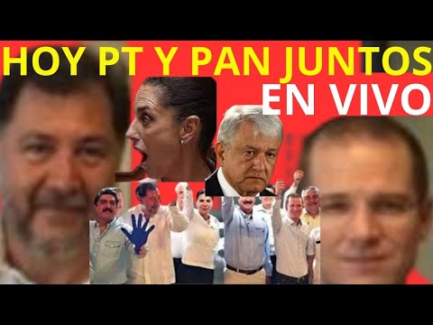 ASQUEROSO..TEPJF RATIFICA A EDMUNDO JACOBO! HOY PT ALIADO DEL PAN! AMLO NOS NESECITA SIN CONDICIONES