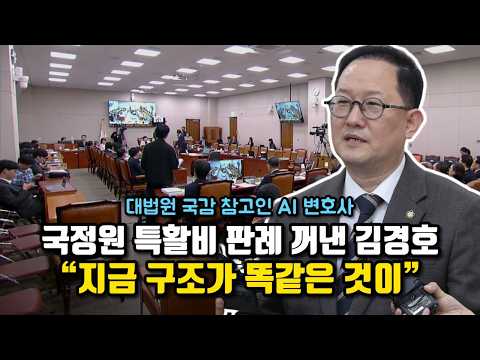 현금으로 증빙 없이” 대법원 국감에서 판례를 줄줄이 읊은 <strong>김경호</strong> 변호사