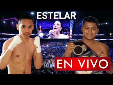 Donde ver Gallo Estrada vs. Román Chocolatito González en vivo, por el título súper mosca CMB y AMB