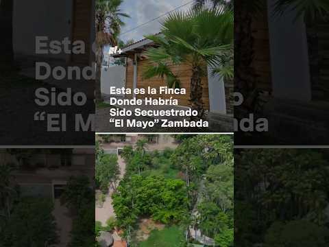 Esta es la finca donde habrían secuestrado a “El Mayo” Zambada #nmas #elmayozambada #shorts