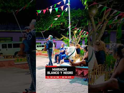 #chiapasmexico #descubrechiapas #shorts #shortsviral #mx #mariachi #musica #musicaregional #romantic