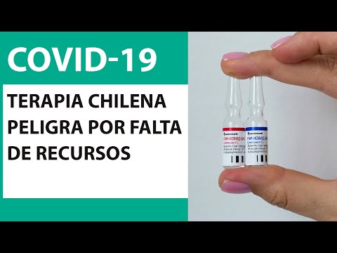 Coronavirus: Posible terapia chilena con anticuerpos de alpacas peligra por falta de recursos