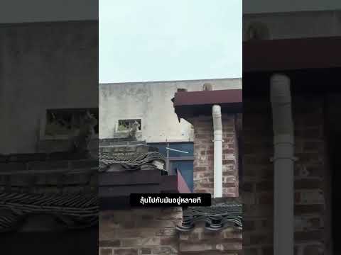 เป็นการสอนลูกที่โหดมาก #สัตว์โลกน่ารัก