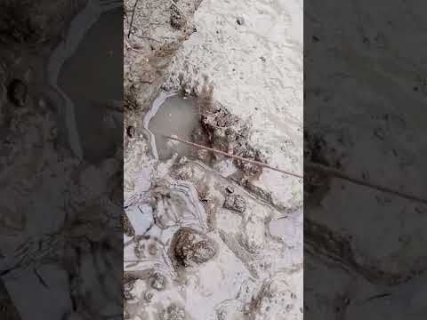 Mancing belut sawah#mancing#belutsawah #mancing #fypage