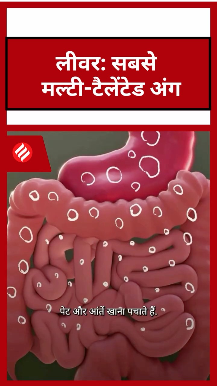 लीवर: सबसे मल्टी-टैलेंटेड अंग #immunesystem #detoxing #dw #dwhindi #shorts