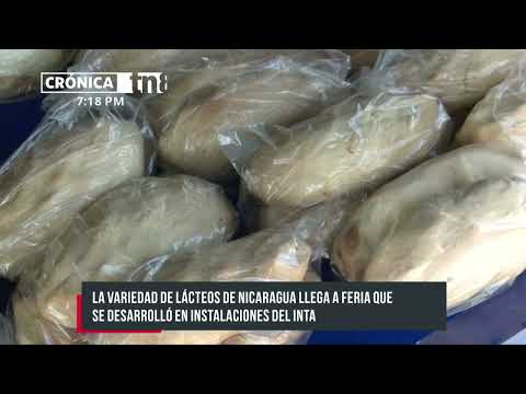 Feria con variedad lácteos a través del INTA en Nicaragua