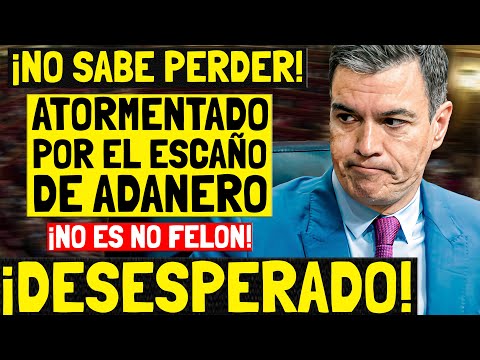 ¡CABEZOTA! PEDRO SÁNCHEZ ATORMENTADO con el ESCAÑO PERDIDO en MADRID ¡SUEÑA CON ADANERO!