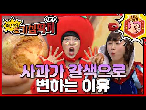 백설공주가 먹다 남긴 사과가 갈색으로 변했다?!ㅣ최고다! 호기심 딱지ㅣ사과가 갈색으로 변하는 이유