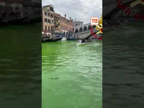 Aguas del canal de Venecia aparecen teñidas de verde fosforescente
