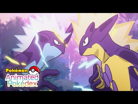 Pokemon TCG News