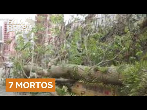 Chuva forte deixa sete mortos no estado de SP