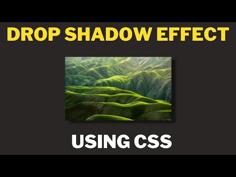 CSS Drop Shadow Effect In Image | Cool Coding Tamil