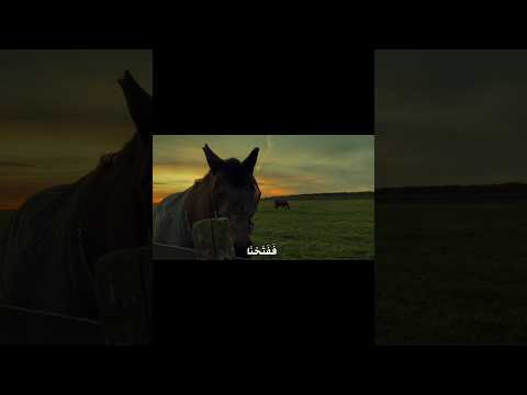 لعل الله يستجيب دعائك الليلة 💔