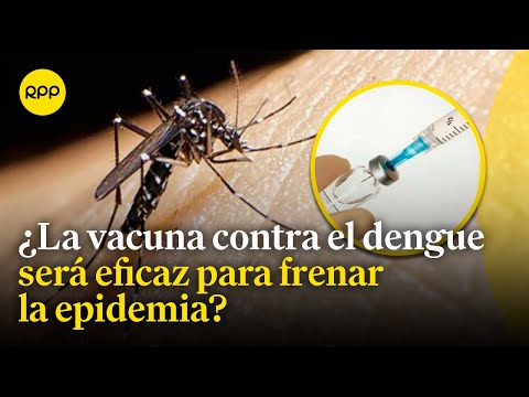 Vacuna contra el dengue: ¿Será eficaz para frenar la epidemia?