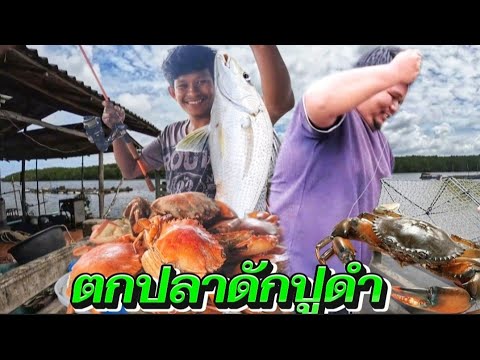 ตกปลาทะเลดักปูดำใหญ่ต้มกินอร