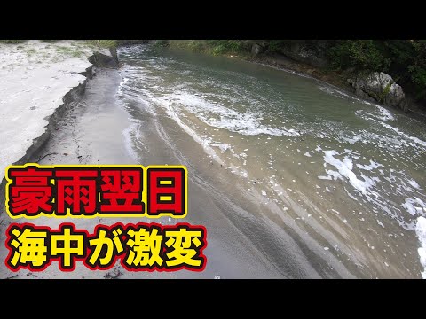 夏に記録的大雨が降った結果、海の環境が激変した件