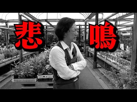 もうやめてぇぇぇぇえ【カーメン君】【園芸】【ガーデニング】