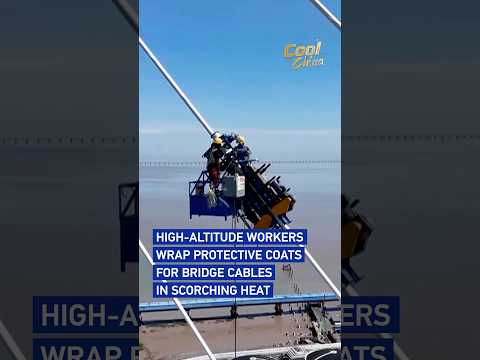 High-altitude workers wrap protective coats for bridge cables in scorching heat #coolchina