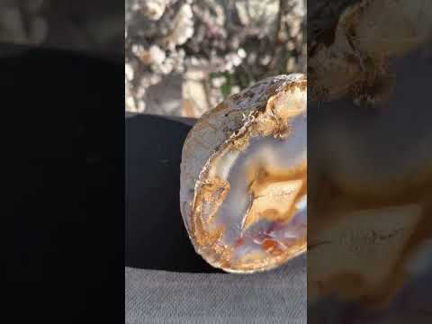 5 Lb 5.1 Oz Mirror Polished Blue Moss Agate