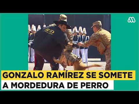 Gonzalo Ramírez se somete a mordedura de perro entrenado en Mega Parada Militar 2023