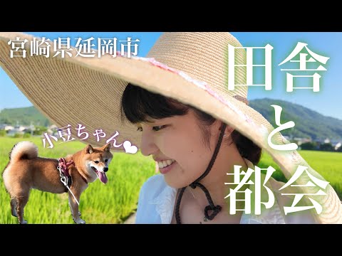 【宮崎】大田舍で散歩しながら田舍と都會について語る