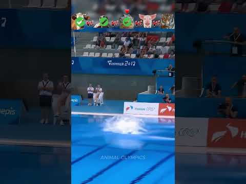 Cow vs Tortoise vs Crocodile vs Pig vs Tiger- Dive Challenge😮
