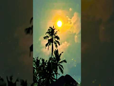 بشاره الله #اكسبلور #دويتو #تيك_توك #تلاوة_خاشعة #حالات_واتس #duet #لايك