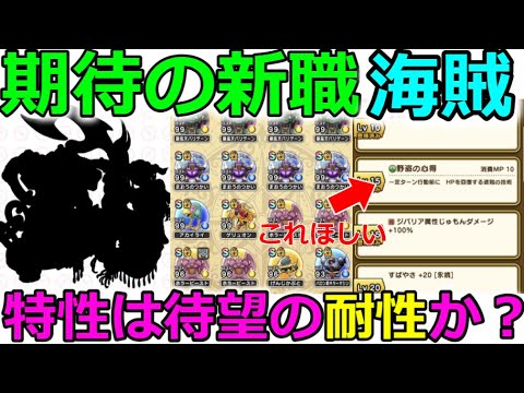 【ドラクエウォーク】待望の新職【海賊？】期待するのはガチャでもなく職業特性よな？