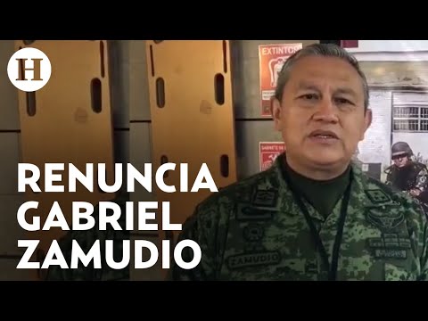 Renunció el secretario de seguridad de Guerrero por motivos de salud ¿Quién tomará su lugar?