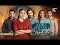 Adhi Bewafayi - Episode 14 - 13th Feb 25 [ Alishba Khan, Ahmed Taha Ghani & Shahbaz Shigri ] HUM TV