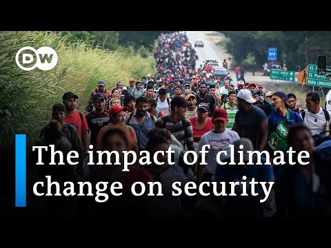 SIPRI: Climate crisis set to spark more unrest | DW News